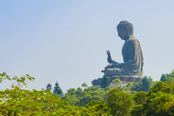 Jättiläinen buddha patsas — kuvapankkivalokuva