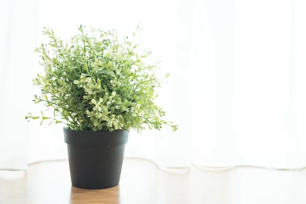 Vasenpflanzenschmuck — Stockfoto