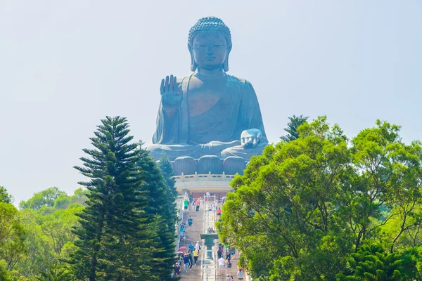 Dev Buda heykeli — Stok fotoğraf
