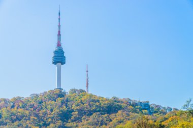 Seul Kulesi seoul City