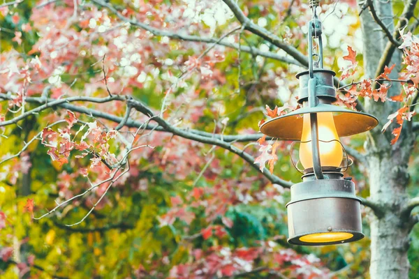 Old lantern with outdoor view — Stock Photo, Image