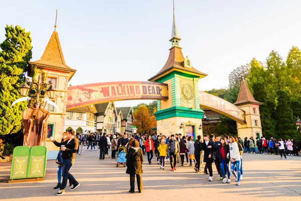 Everland Resort in Yongin City