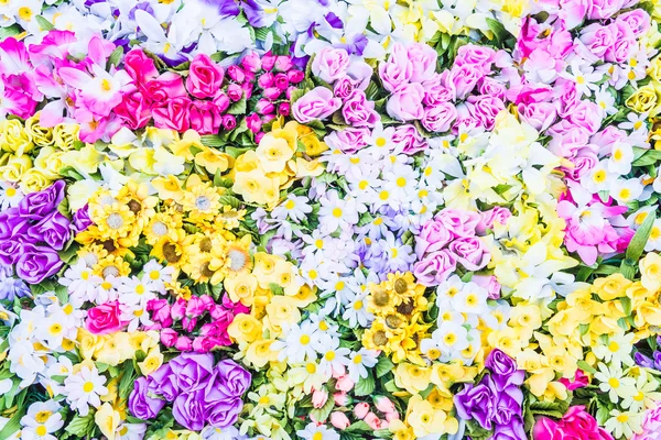 Schöne bunte Blumen — Stockfoto