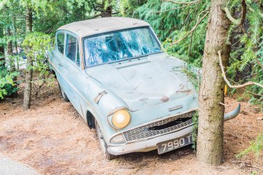 Universal Studios Tema Parkı