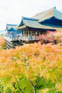 Kiyomizu tapınağında güzel mimari