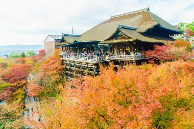 Kiyomizu tapınağında güzel mimari
