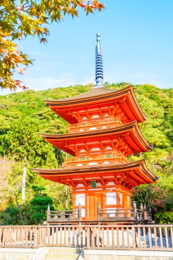 Sonbahar sezonu Kiyomizu-dera Tapınağı