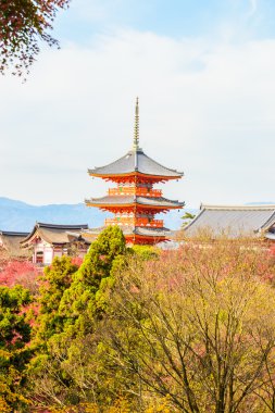 Sonbahar sezonu Kiyomizu-dera Tapınağı