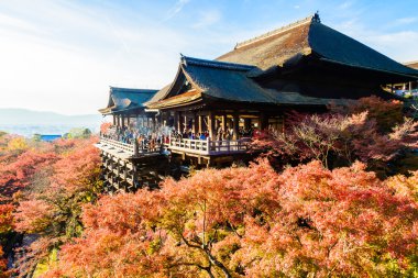 Sonbahar sezonu Kiyomizu-dera Tapınağı
