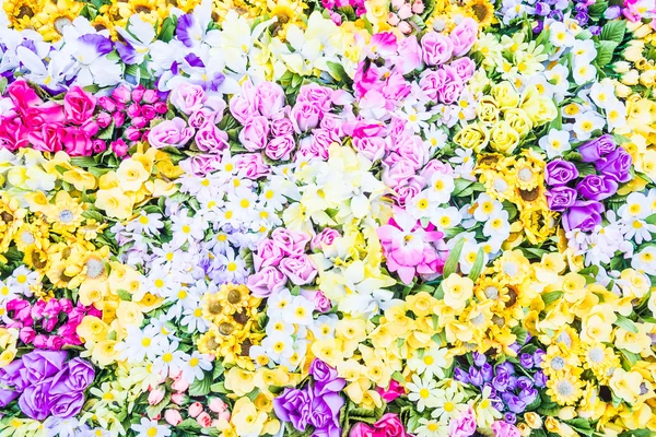 Gyönyörű színes virágok — Stock Fotó
