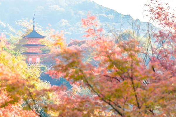Kiyomizu-dera ναός στην φθινοπωρινή εποχή — Φωτογραφία Αρχείου