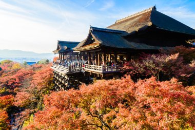 Sonbahar sezonu Kiyomizu-dera Tapınağı