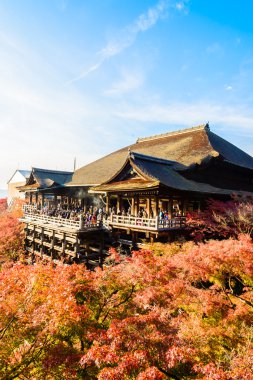 Sonbahar sezonu Kiyomizu-dera Tapınağı