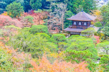 Ginkakuji Tapınağı Kyoto