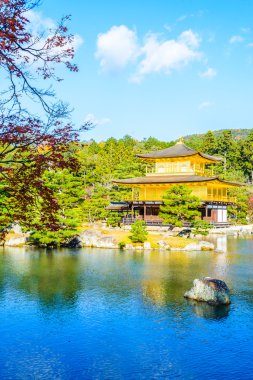 Kinkakuji tapınak altın köşk