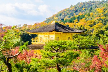Kinkakuji tapınak altın köşk