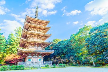 Güzel Daigoji Tapınağı