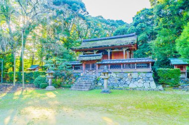 Güzel Daigoji Tapınağı