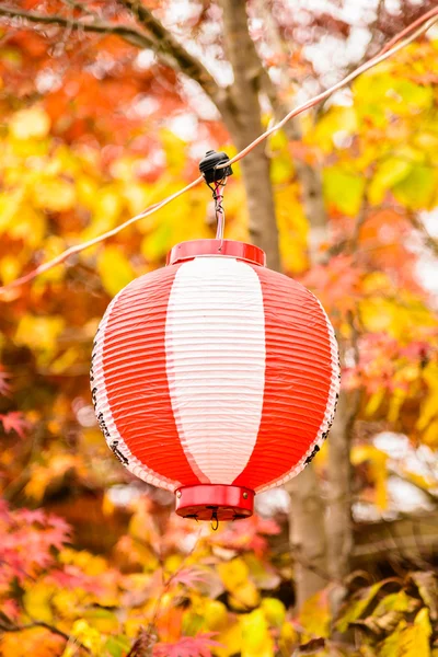 Linterna colgante de Japón — Foto de Stock