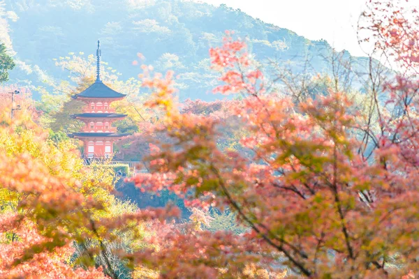 Kiyomizu-dera temple i höstsäsongen — Stockfoto
