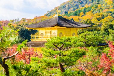 Kinkakuji tapınak altın köşk