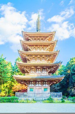 Güzel Daigoji Tapınağı