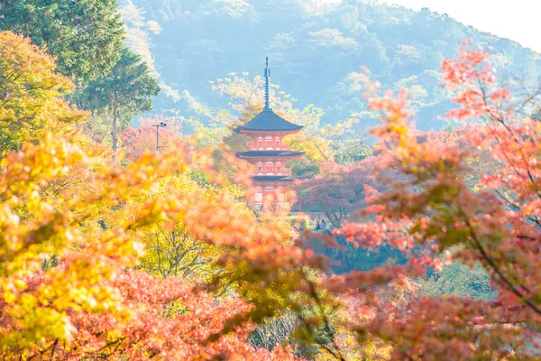 Kiyomizu dera ναός στο Κιότο, στην Ιαπωνία — Φωτογραφία Αρχείου