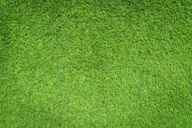 Yeşil çimen dokular