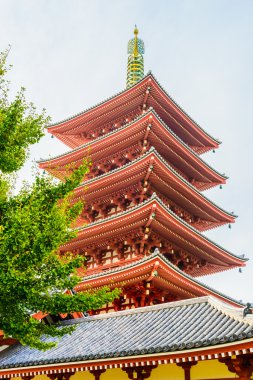 Güzel mimari Sensoji Tapınağı