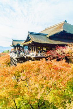 Kiyomizu tapınağında güzel mimari