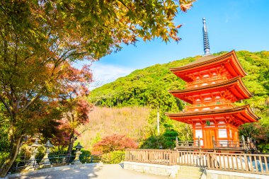 Kiyomizu Dera Tapınağı Kyoto