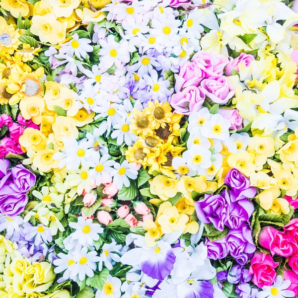 Beautiful Flowers background — Stock Photo, Image