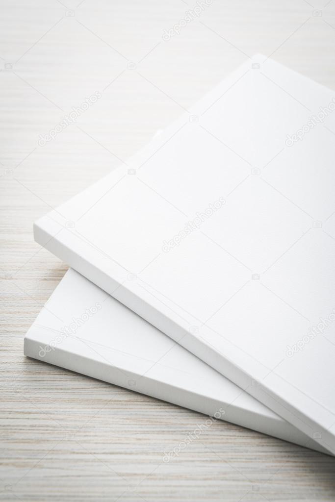 Blank white mock up books