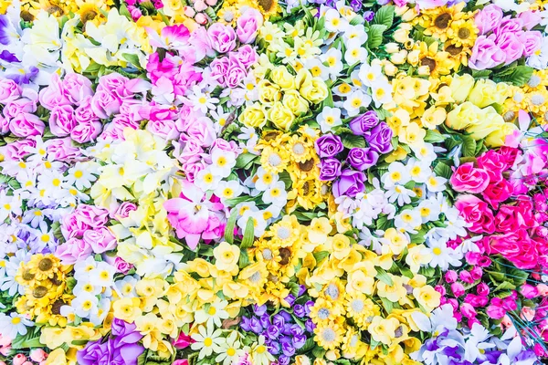 Colorful and beautiful flowers — Stock Photo, Image