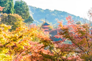 Sonbahar sezonu Kiyomizu-dera Tapınağı