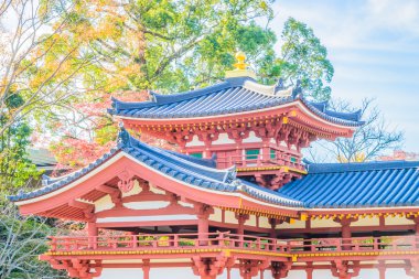 Byodo içinde güzel Tapınağı