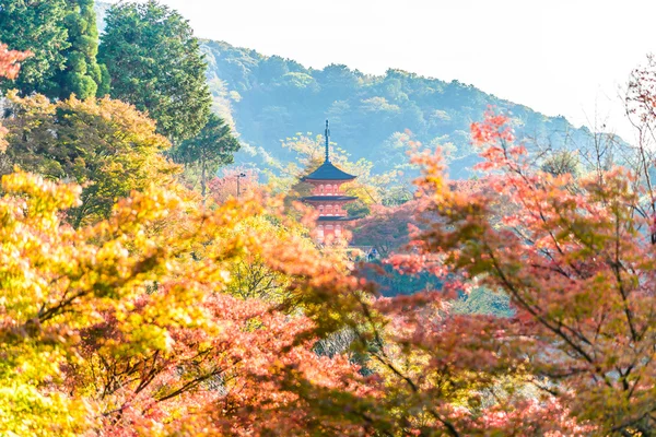 Kiyomizu-dera temple in autumn season — Stock Photo, Image