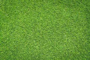 Yeşil çimen dokular