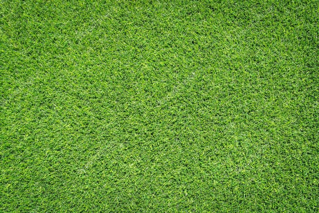 Green Grass Textures Stock Photo C Mrsiraphol 93840714