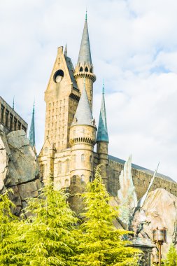 Okulu Hogwarts Cadılık