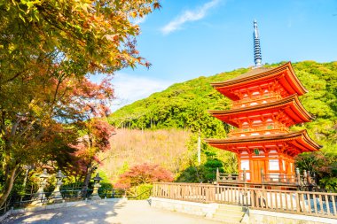 Kiyomizu Dera Tapınağı Kyoto