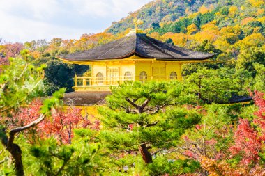 Kinkakuji tapınak altın köşk