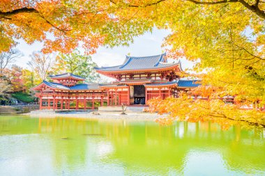 Byodo içinde güzel Tapınağı