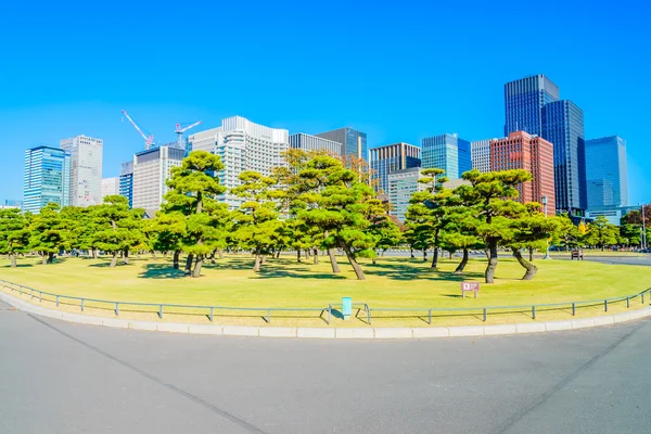 Hermosos edificios de arquitectura — Foto de Stock