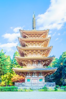 Güzel Daigoji Tapınağı