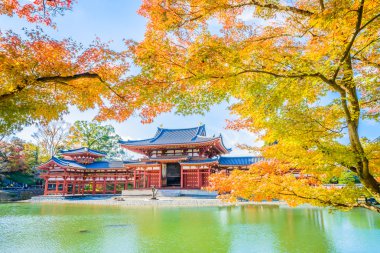 Byodo içinde güzel Tapınağı