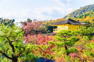 Kinkakuji tapınak altın köşk