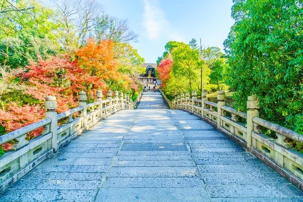 Podzimní sezóna v Japonsku — Stock fotografie