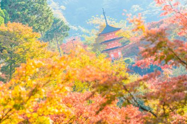 Kiyomizu dera Tapınağı Kyoto, Japonya