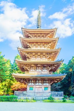 Güzel Daigoji Tapınağı